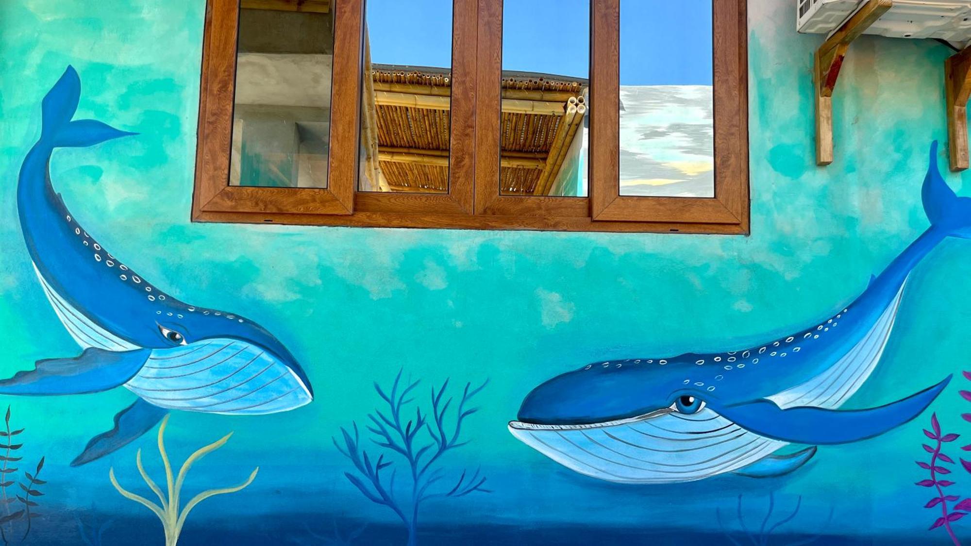 Shanti Surf Camp El Paredón Buena Vista Exterior photo